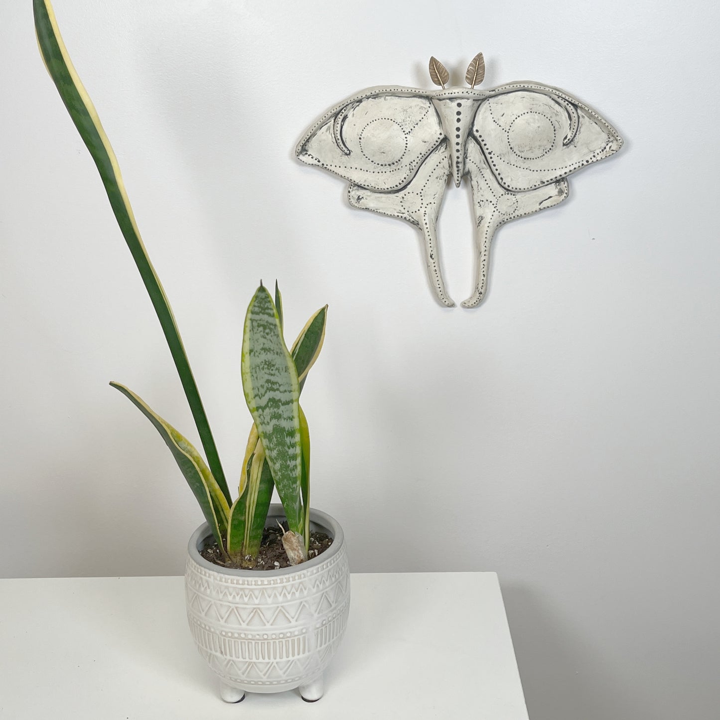 Luna moth wall art ceramic sculpture